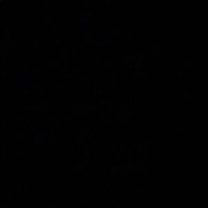 Meet your Posher, Devon